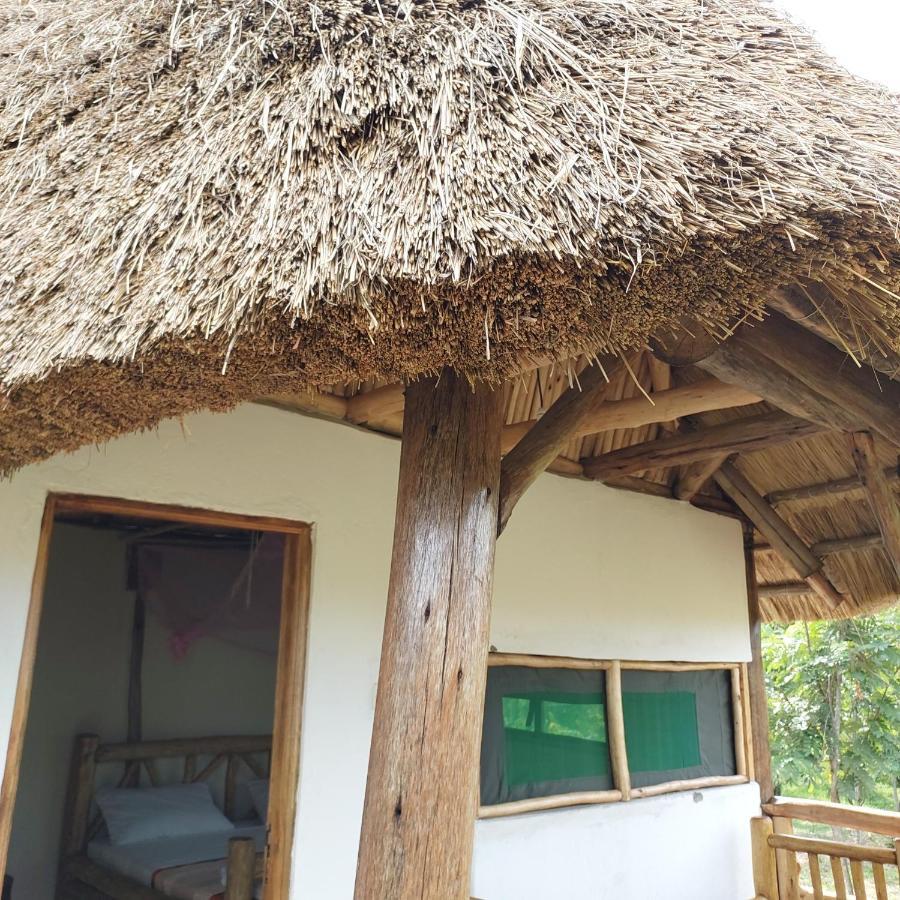 Songbird Safari Lodge & Campsite Katunguru Exterior foto