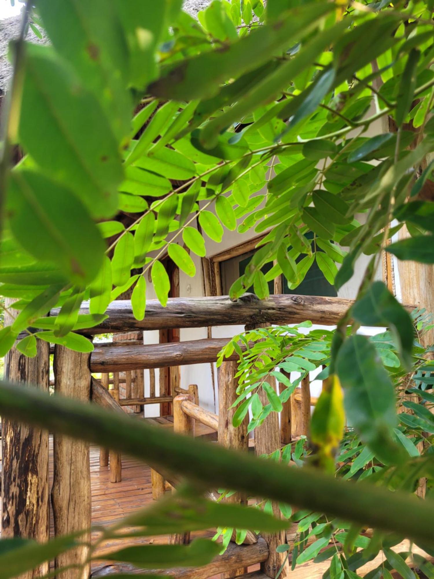 Songbird Safari Lodge & Campsite Katunguru Exterior foto